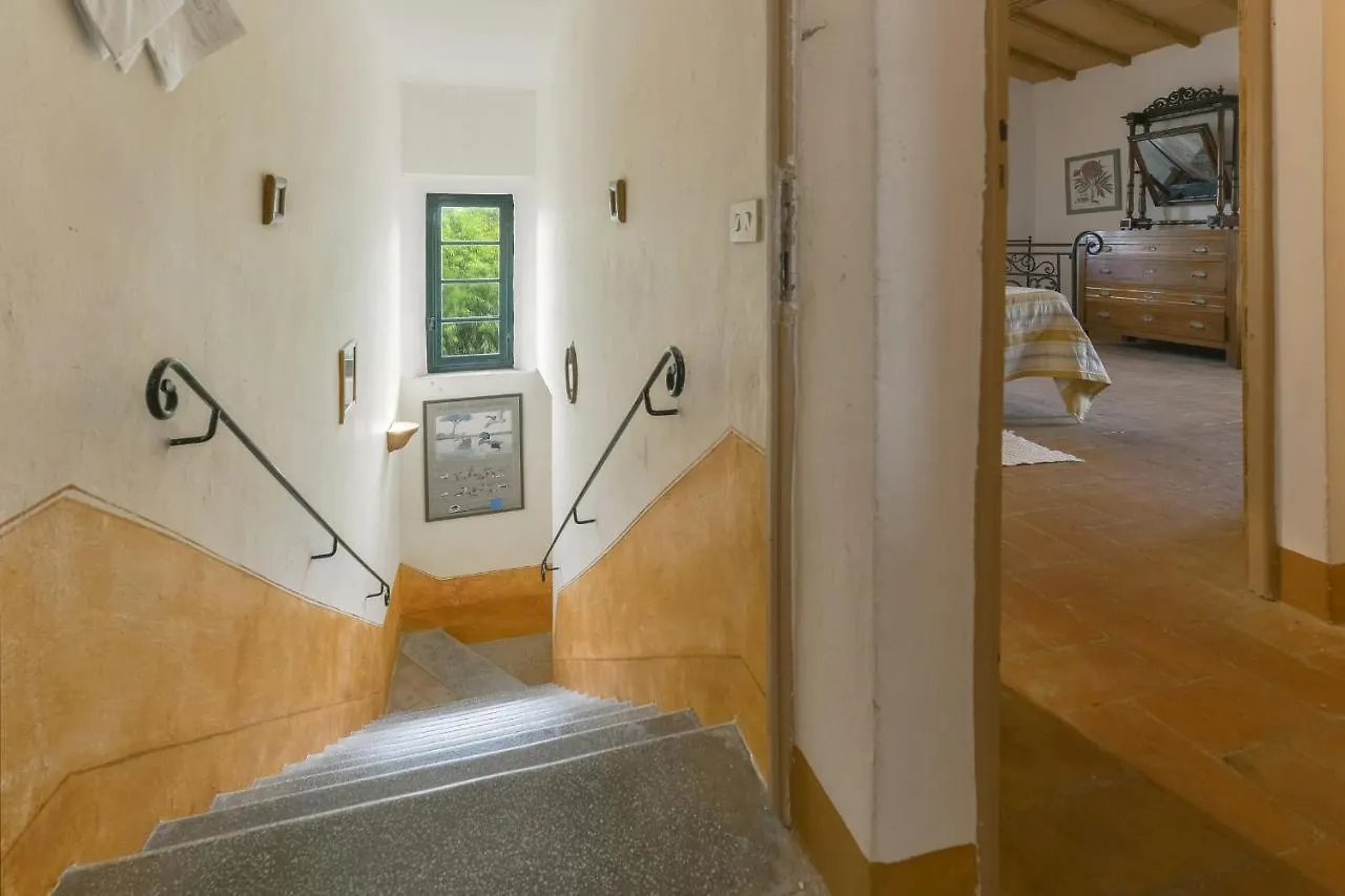 Agriturismo Zuccherini Buriano  Buriano (Grosseto)